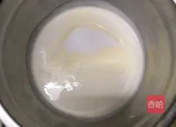 ~Mango Mousse Recipe Illustration 4