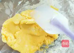 Pine Tree Little Illustration of how to make cookies 3