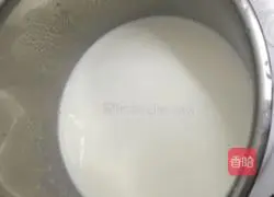 Yoghurt Cheese Cup Recipe Illustration 1