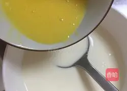 Milk egg tart recipe 5