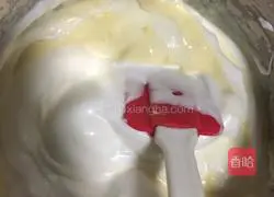 Cheese Popsicle Tart Recipe 17