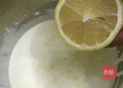 Blueberry Cheese Recipe Illustration 4