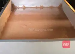 Honey Chocolate Cocoa Chiffon Cake recipe illustration 14