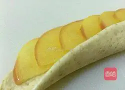 Rose Apple Tart Recipe Illustration 5