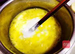 Yoghurt tart recipe 2