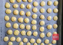 Oil-free egg biscuits recipe 15