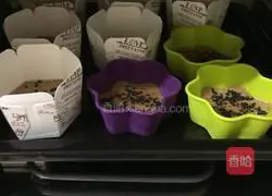 Illustration of how to make red date cookies 2