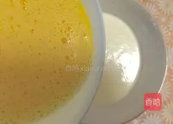 Mango egg tart recipe 4