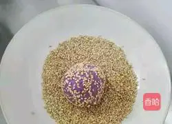 Illustration of how to make purple sweet potato sesame balls 7
