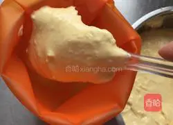 Egg yolk biscuits Practice illustration 5