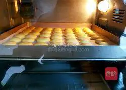 Illustration of how to make egg yolk yuan egg yolk biscuits 12