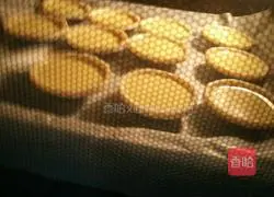 Egg tart recipe 6
