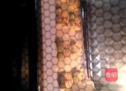 Illustration of how to make cranberry cookies 11