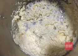 Cheese Popsicle Tart Recipe 10