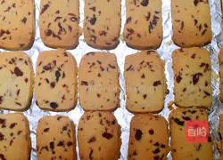 Cranberry Cookies - Illustration of Beginner's Starter Work 9