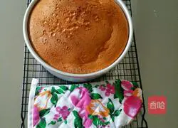 Illustration of how to make chiffon cake 20