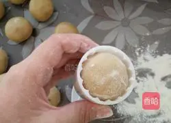 Mooncake (Colorful Bean Filling) Recipe Illustration 11