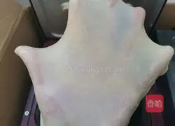 Donut Bread Recipe Illustration 4