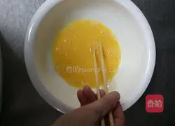 Illustration of how fans give back to