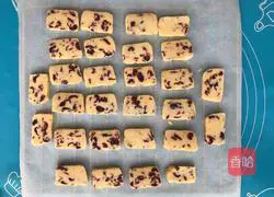Illustration of how to make cranberry cookies 16