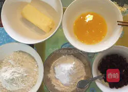 Cranberry Cookies - Illustration of Beginner's Starter Work 1