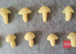 Mushroom biscuits recipe 5