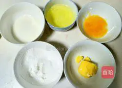 Mango Light Cheese Cup Cake Recipe Illustration 1