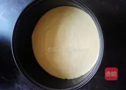 Spinach chiffon cake recipe 11