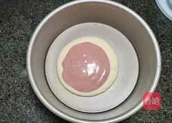 Zebra pattern chiffon cake recipe 15