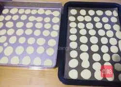 Baby Whole Egg Yolk Cookies Illustration 5