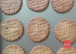 High fiber digestive biscuits recipe 6