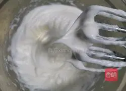 Cranberry Oatmeal Chiffon Cake (no oil, no flour, less sugar) Recipe 8