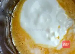 Yoghurt tart recipe 2