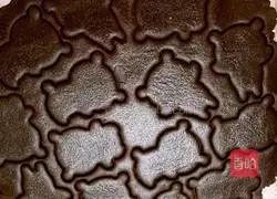 Chocolate Panda Cookies Recipe Illustration 8