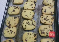 Cranberry Cookie Recipe Illustration 8