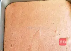 Illustration of how to make dragon fruit cake 14