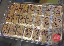 Cranberry Cookies - Illustration of Beginner's Starter Work 8