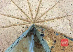 Oreo Chiffon Cake (Chiffon Cake & Oreo Perfect Illustration of how to combine) 11