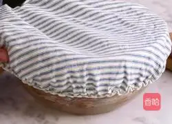 Chocolate Brownie Cookie Recipe Illustration 9