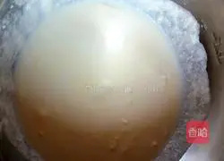 Milk mango egg tart recipe 2