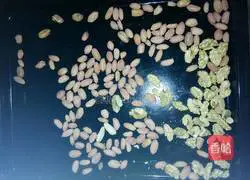 Peanut Walnut Cake Recipe Illustration 12