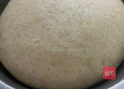 Illustration of how to make raisin whole wheat toast 2