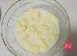 Coconut Cranberry Filling (Mooncake) Recipe Illustration 2