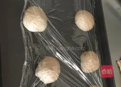 Illustration of how to make whole wheat cranberry toast 6