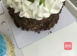 Chocolate Fruit Cake Recipe Illustration 5