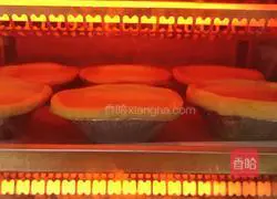 Portuguese Egg Tart Teaching Illustration 12