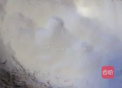 Brown Sugar Butter Cookie Recipe Illustration 8