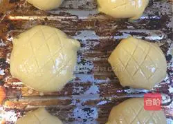 Hong Kong style Illustration of how to make pineapple buns 6