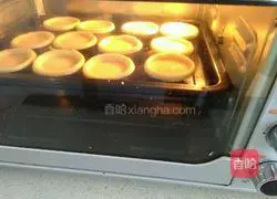 Xylitol Egg Tart Recipe Illustration 7