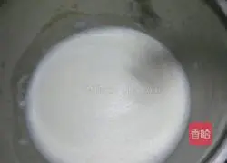 Cheese Egg Tart Recipe 3